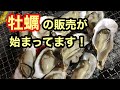 三豊市詫間町の牡蠣出荷場で牡蠣買って自宅でBBQする。焼き牡蠣とビールが抜群です。