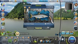 Common Nase - Go Fishing Facebook Fish, Bait, Tips & Trik