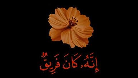 قران كريم | سورة المؤمنون | القارئ سمير عزت | تلاوة خاشعة😌❤️ | حالات واتس اب قران