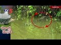 Crocodile sighted in canal at Nandigama, Krishna district
