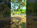 Technology helps farmers a lot