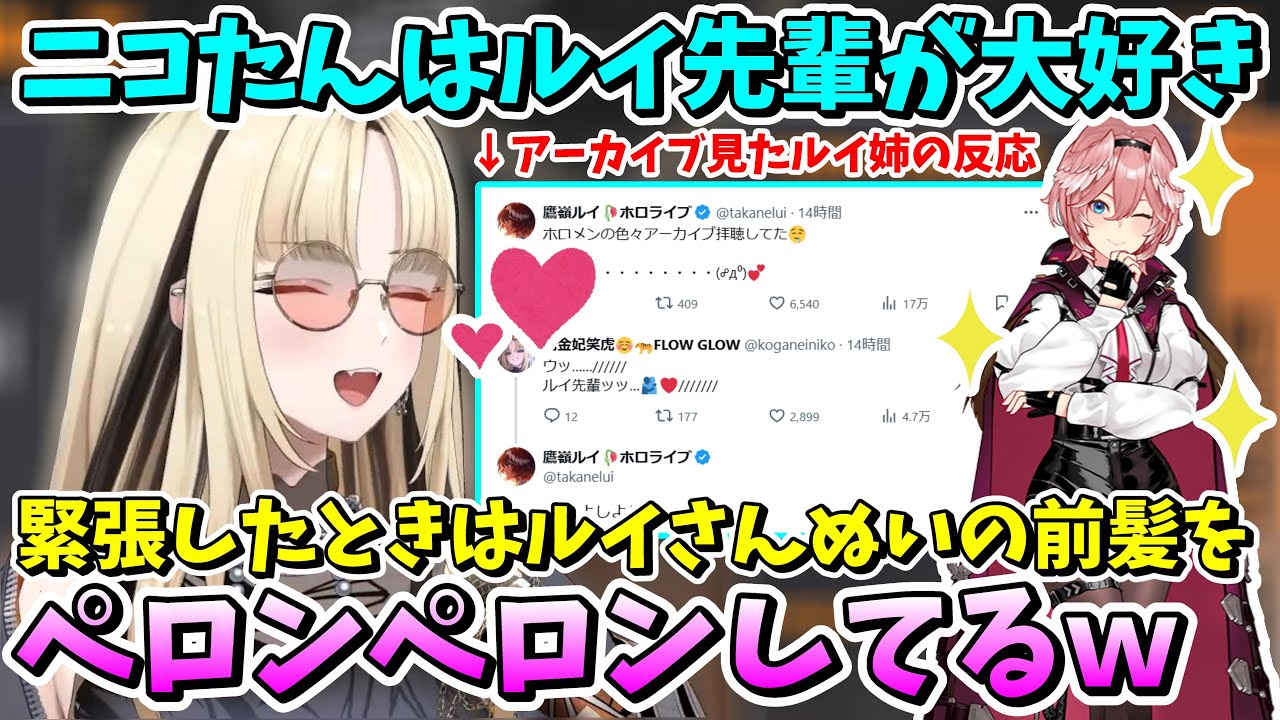 ルイ姉を好きになったきっかけを語るニコニコニコたん☆ルイ姉本人にはすぐバレるｗ【ホロライブ/鷹嶺ルイ/虎金妃笑虎/切り抜き】