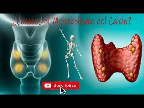 Vídeo: Como diagnosticar e tratar a hipocalcemia