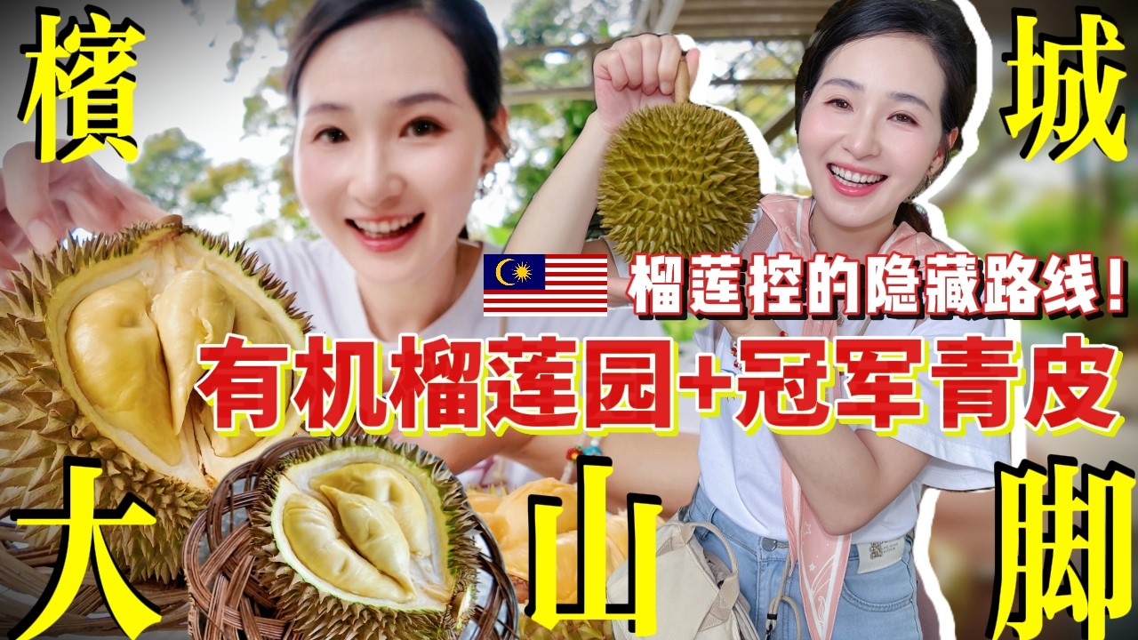 【马来西亚】🔥差点迷路的大山脚榴莲园，槟城人都未必来过！路上遇猴猴，甘榜榴莲名字超搞笑，价格平到笑！再吃榴莲大赛冠军青皮，价位堪比猫山王，味道究竟如何？顺路试新开芋头饭，居然比米其林还好吃！