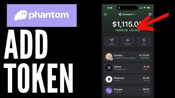 How To Add Custom Tokens To MetaMask Wallet | Import Token To MetaMask (2025)