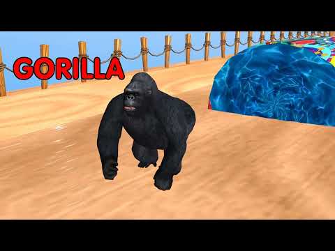 Farm animals are transformed into wild animals