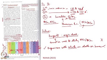 Week 10: Lecture 49: Chemostratigraphy V