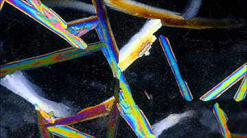 motion control system  -- test reel