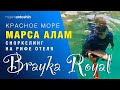 Красное море. Марса Алам. Сноркелинг на рифе отеля Brayka Royal. Египет