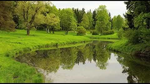 ارح سمعك.. تلاوه من سورة المعارج💚