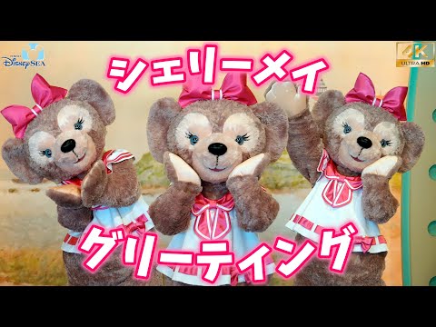 Disney - ディズニーのとってもかわいいシェリーメイ 念願の！シェリーメイちゃんに会えた🫶🏻🫶🏻🫶🏻 なんで