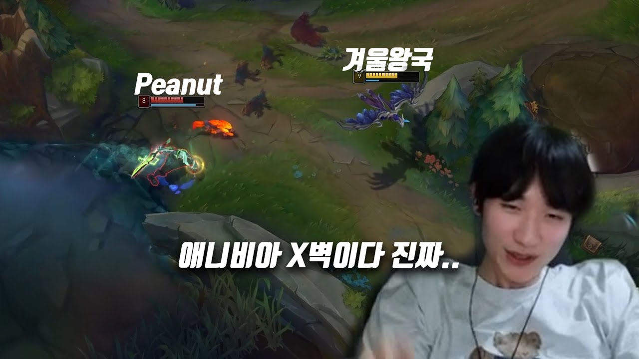 피넛님도 저격밴하게 만드는 겨울왕국의 통곡의벽 애니비아🦜🦃🐓🕊️🦅🐦‍⬛🦤🦆🐦🦉🪶🪽