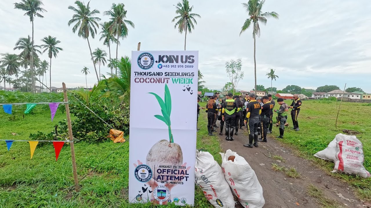 San Pablo City, Laguna(Coconut Tree Planting, Brgy San Jose Malamig) August 29, 2025 Part 2