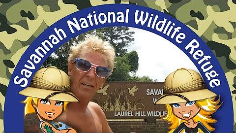 VANLIFE #51 - Savannah National Wildlife Refuge and Coligny beach park