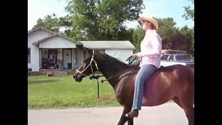 Kelly Masons Beautiful Horses