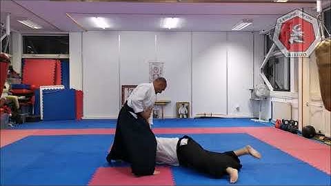 Shomenuchi Kotegaeshi 5th kyu waza