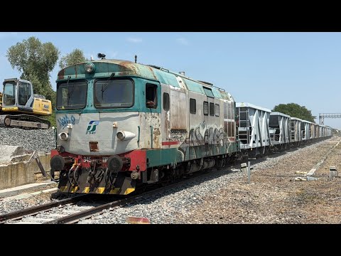 Video UN TRENO SCHIACCIA BINARI in corsa tra Legnago e Verona!