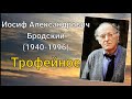 Иосиф Бродский. Трофейное