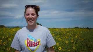 BIRST 2015