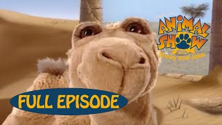 Animal Show | Arctic Fox / Camel 🐪 | Jim Henson Family Hub