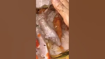 Giải cứu chú cá mắc cạn thành công #shortvideo