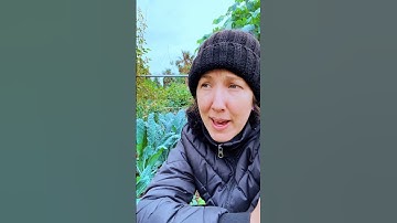 Organic Garden 🥬 Side Hustle💪 Earn Money 🤑