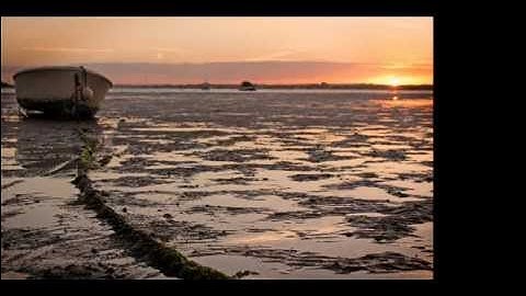 Tim Berry Algorithm Teaser Trailer