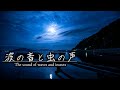 波の音と虫の声 3時間｜静かな海辺の自然音・環境音ASMR｜Ocean Waves and Crickets at Night in Japan (3 Hours)