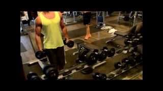 Max Fitness Lifestyle Generation - Mcfit Hochfeld Bizepstrizeps Workout