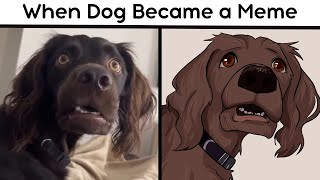 When your dog became a popular internet meme 🐶 Funniest Dog Ever! | Fun Art of Cat Memes by Cat Memes 8,116 views 1 month ago 10 minutes, 28 seconds