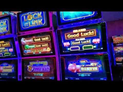 Hard Rock Hotel & Casino in Hollywood Florida #shorts #hardrock #florida