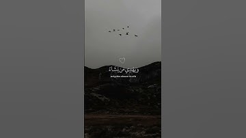 والله يدعو إلى دار السلام | سورة يونس #قاری #قرآن #قران_كريم #مجهول#اكسبلور #خشوع_طمأنينه_راحه_للقلب