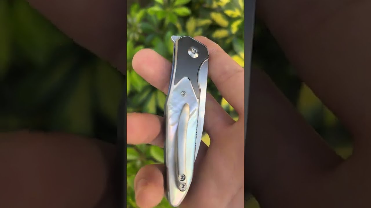 Lee Williams Kickstop Cheeka Custom Knife From Recon 1