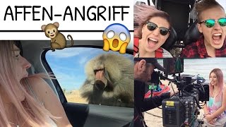 AGGRO AFFENANGRIFF auf Mallorca :O FMA ♥ BibisBeautyPalace