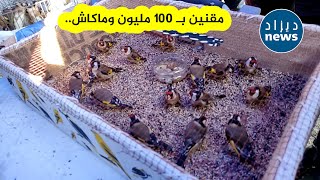 شاهد أغلى مقنين في الجزائر والذي وصل سعره إلى 100 مليون سنتيم ، تعرف على مواصفاته