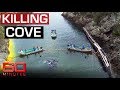 Exposing Japan's dolphin killing cove | 60 Minutes Australia