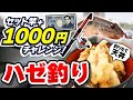 【セット竿+1000円で】ハゼを釣って天丼を作りたい!!【10月】