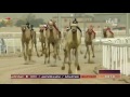 ختامي الشحانية ثنايا للشيوخ 12 3 2017 م ش2 الوذن لـ هجن الشحانية محمد خالد العطيه 12 10 3 