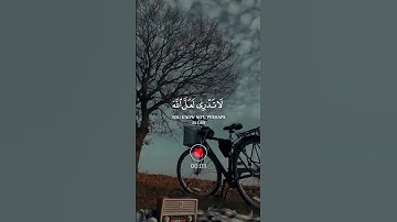 اروع تلاوة القرآن الكريم ب صوت القارئ رعد الكردي حالات واتس اب
