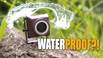 Outdoor Wireless Bird Box Camera: GreenBackyard Review