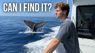 I Searched For the World's Largest Animal