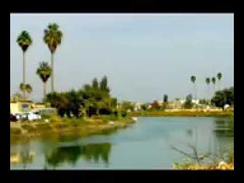 سعدي الحلي ليله ويوم