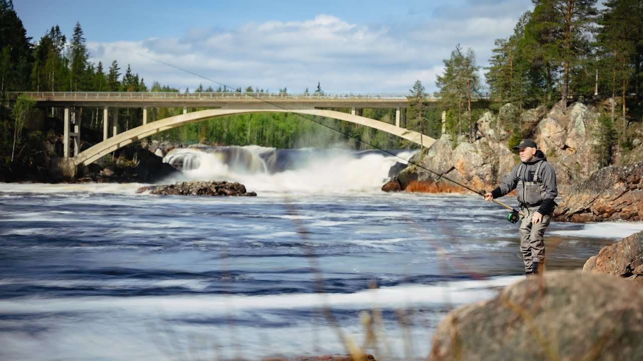 Salmon Fishing in Sweden / An Epic Adventure in Jockfall // 