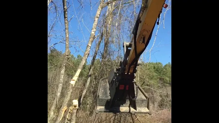 Excavator Forestry Mulcher