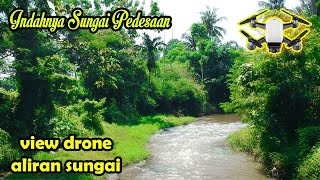 Indahnya Pemandangan Alam Sekitar sungai Sejuk Dan Segar Tumbuhan dan Tanaman Liar