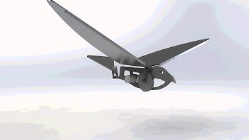 Ornithopter video