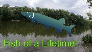 I Caught The Rarest Fish In Vermont! [Primordial Fishing Episode 22]