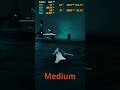 Morbid Metal HIGH RTX 5070 7500F 2560x1080 UltraWide #morbidmetal #rtx5070 #7500f #2560x1080