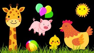 Baby Sensory Video - Tummy Time Newborn - Sensory Videos For Babies - Newborn Visual Stimulation