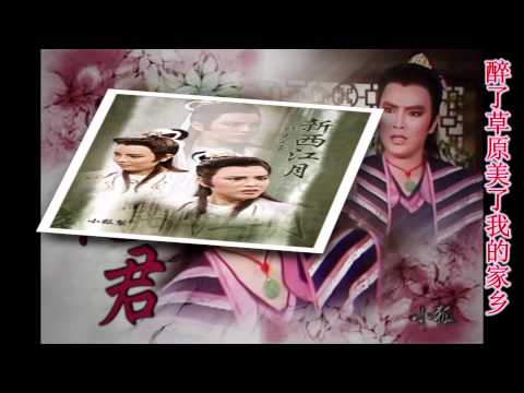 丽如姐的生日MV